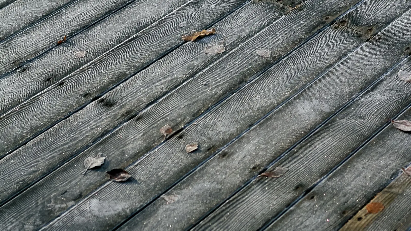 Weathered gray deck boards with raised grain and a few fallen leaves